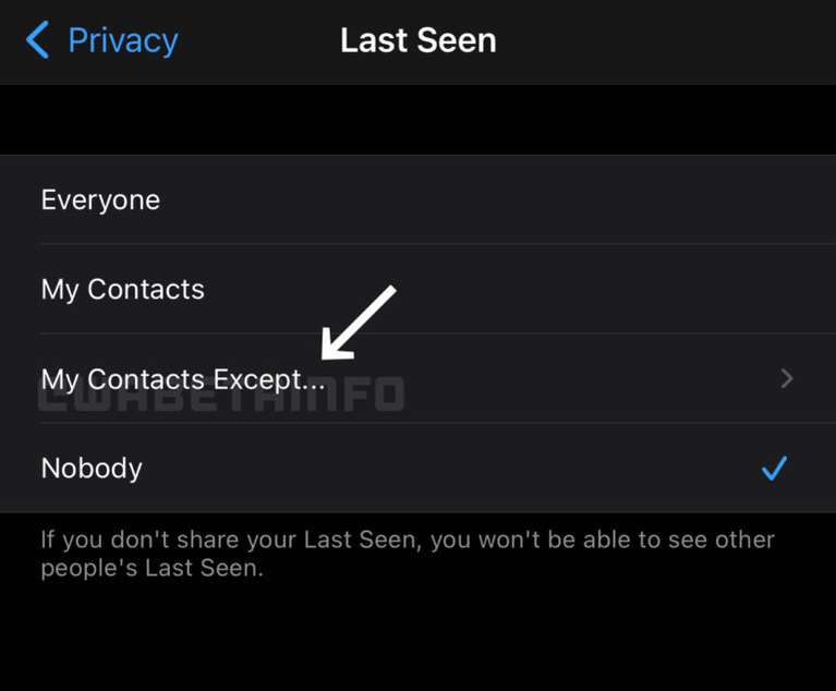 The new option in WhatsApp: "My contacts except..." (Photo: WABetaInfo).