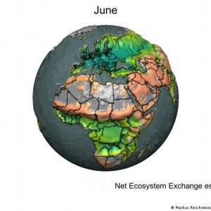 Cool animations show how the Earth breathes carbon through the seasons |  Science and Ecology |  Dr..
