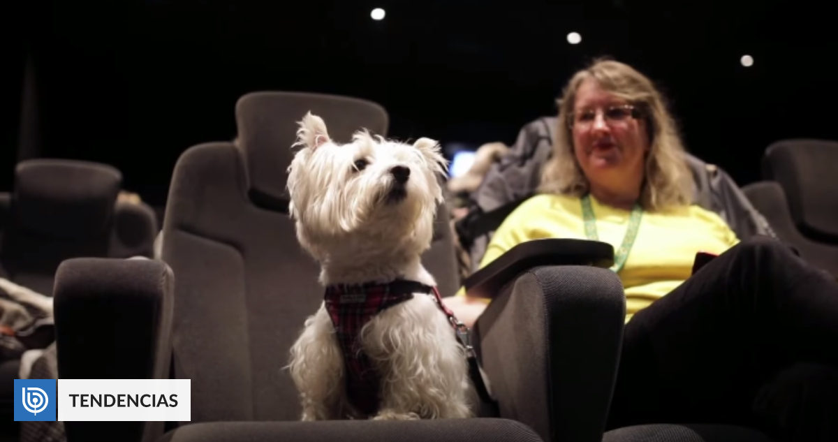 Abre el primer cine especial para perritos en Reino Unido