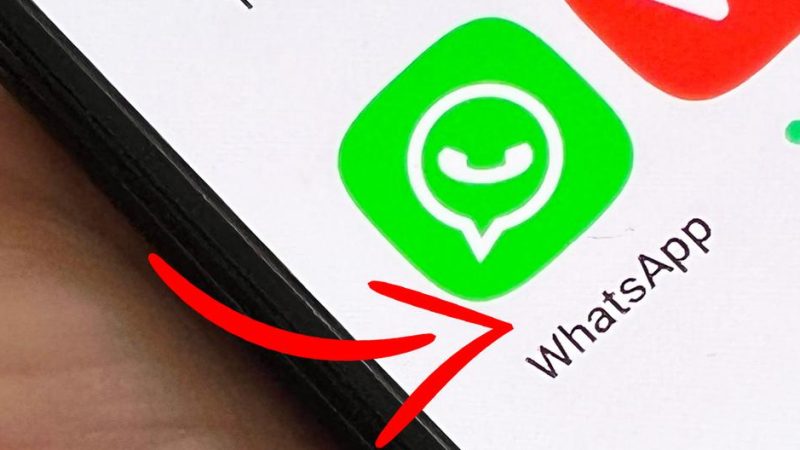 WhatsApp to WhatsApp Plus |  How to restore the backup |  restore |  chat |  talks |  Smart phones |  Applications |  nda |  nnni |  sports game