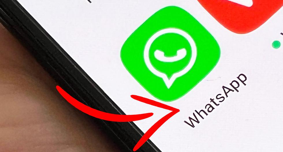WhatsApp to WhatsApp Plus |  How to restore the backup |  restore |  chat |  talks |  Smart phones |  Applications |  nda |  nnni |  sports game
