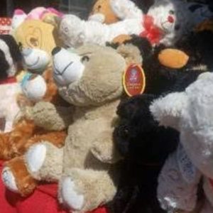 Teddy bears, chocolates and flowers arrive before Valentine’s Day
