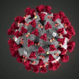 Europa comienza estrategia de “vivir con el coronavirus”