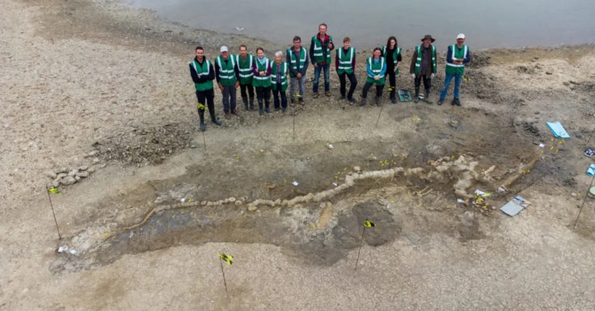 Science.  A fossil of a 10-meter sea dragon was found in an English lake