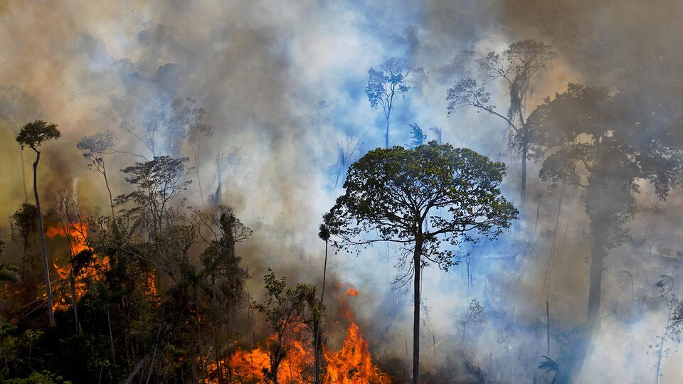 UN warning: Forest fires and climate change feed each other |  He warned of the possibility of more devastating events