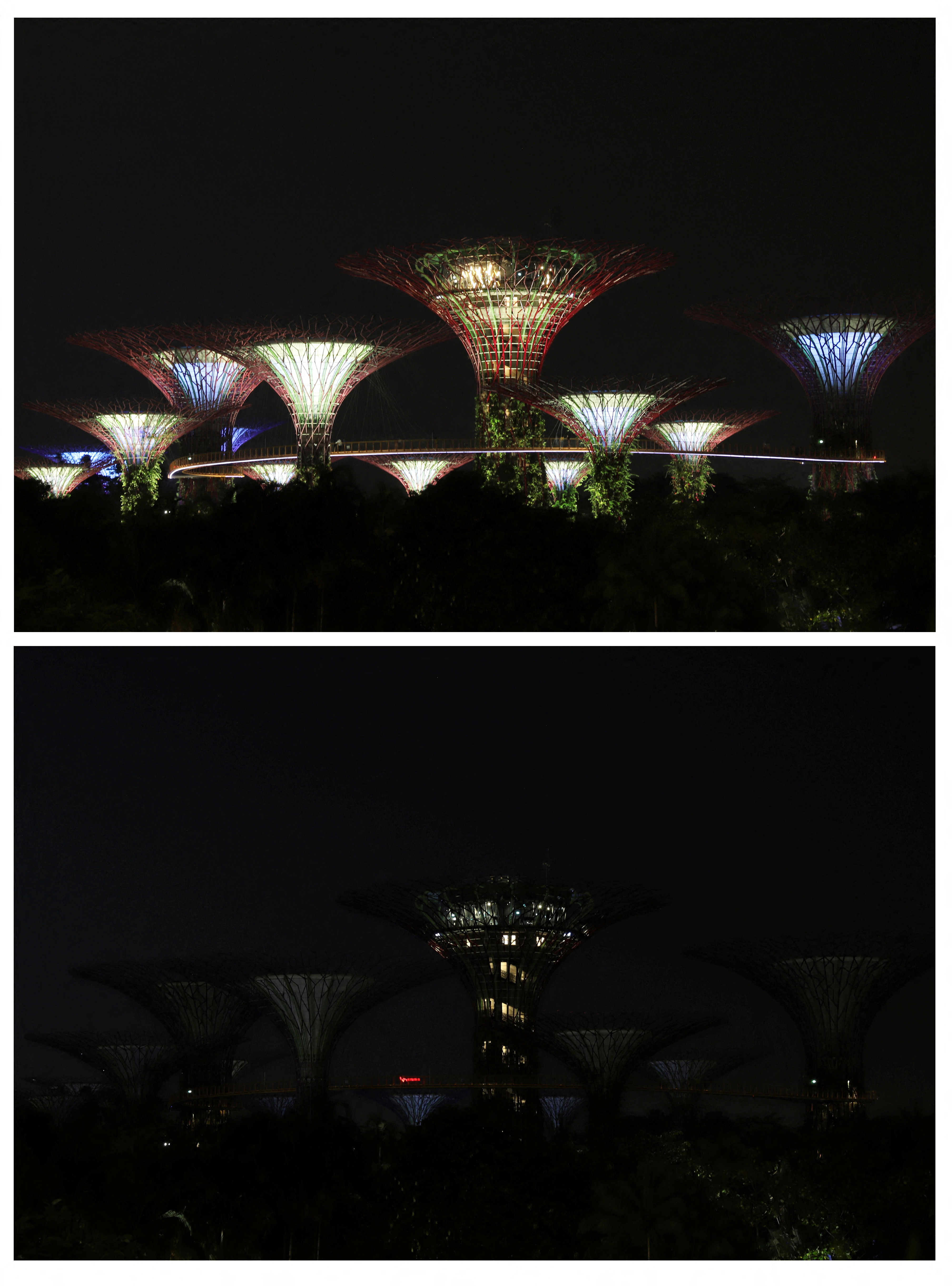 Singapore's gardens also darkened (Reuters / Isabel Kwa)