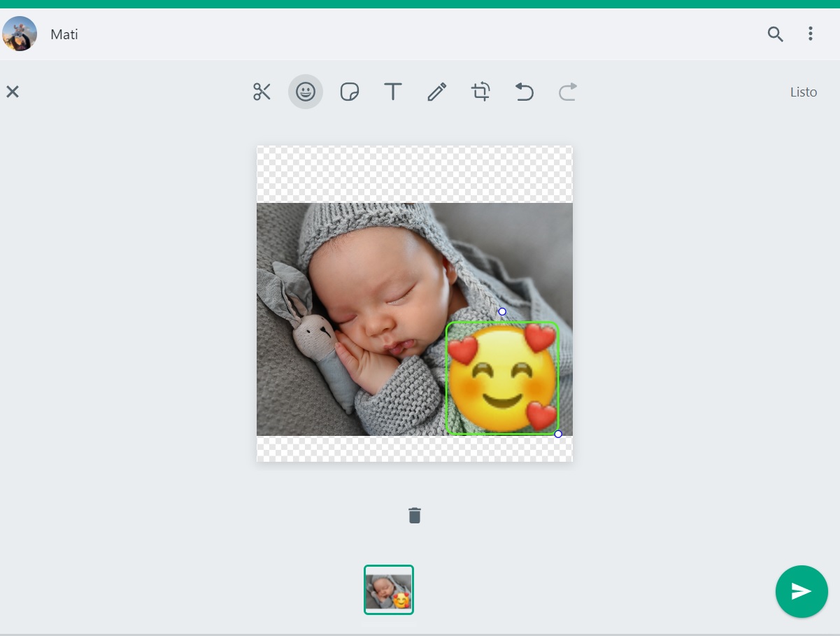 After selecting the image, a list of tools to edit it will be displayed