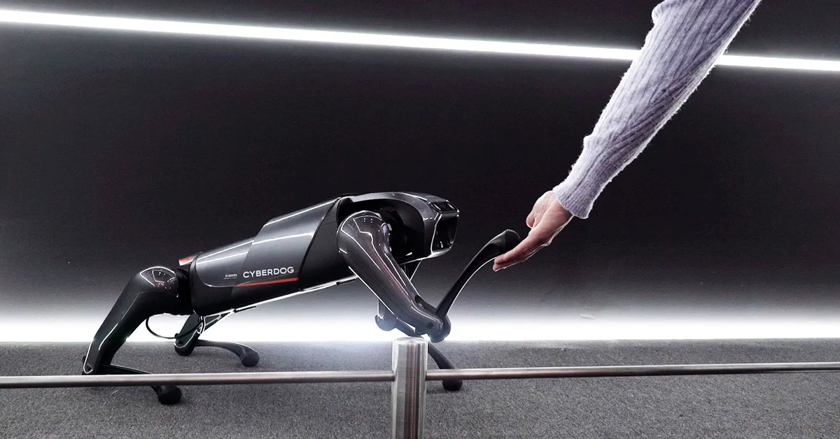MWC 2022: The robot dog is the sensation, and all its functions make it feel like a real animal