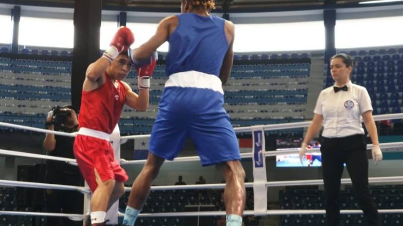 Seven Ecuadorean boxers advance to the semi-finals of the Continental Boxing Championship |  Other sports |  Sports