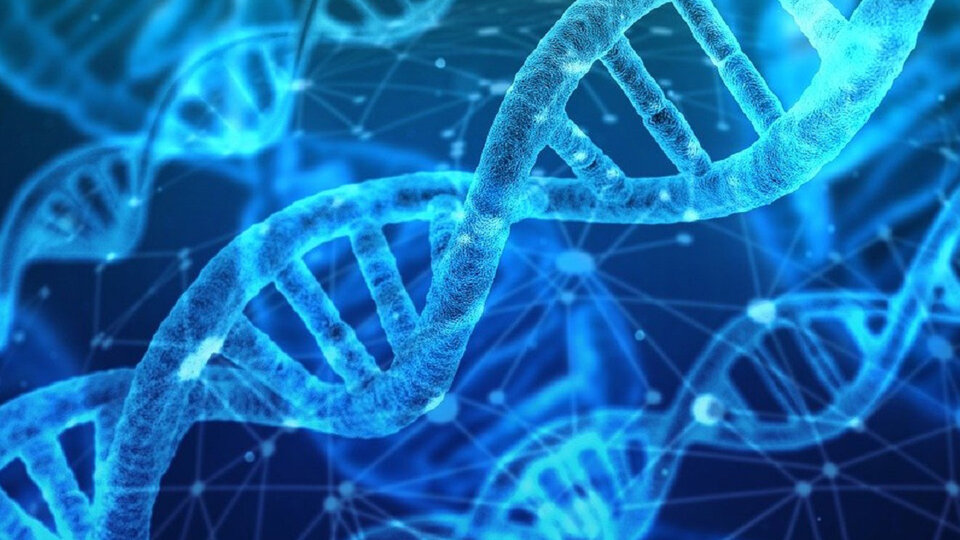 An international scientific team decoded the entire human genome |  The work was published in the journal Science