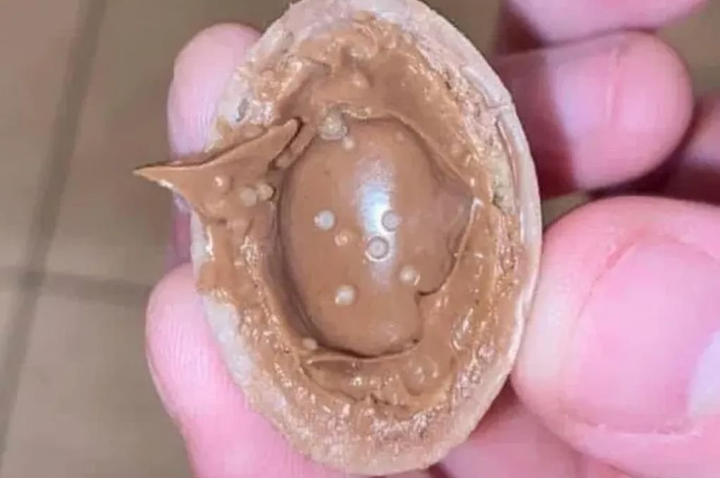 Health alert in Europe: This is what salmonella contaminated chocolate eggs look like: El Littoral – News – Santa Fe – Argentina