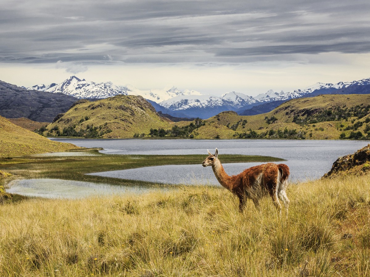 Premiere Wednesday, April 13th: Chilean National Parks Featured in a Netflix Documentary Series Narrated by Obama