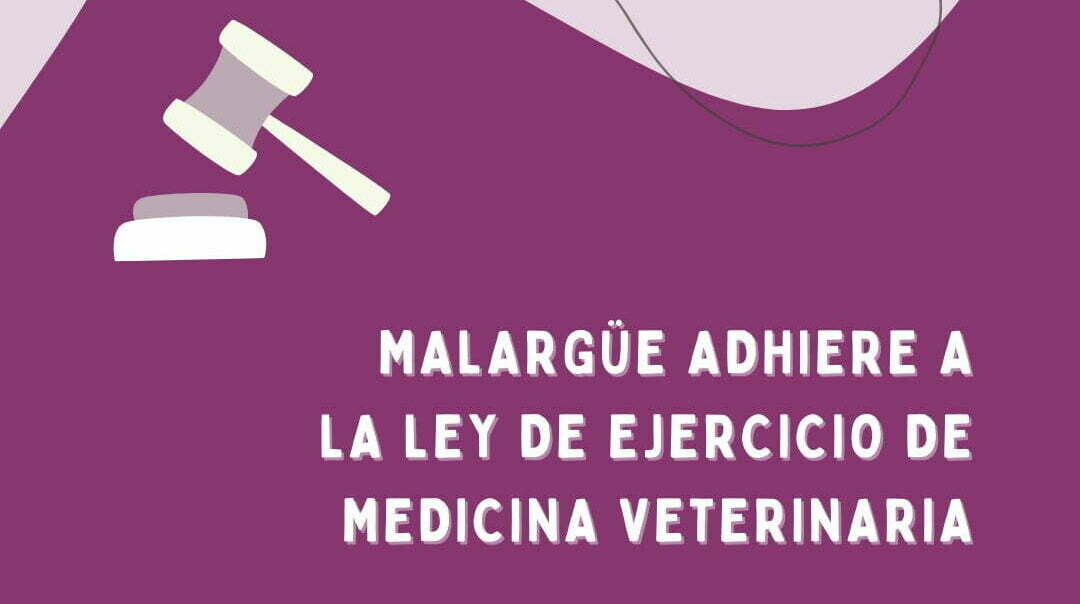 Malargüe complies with the district ordinance for the practice of veterinary medicine – Malargüe municipality