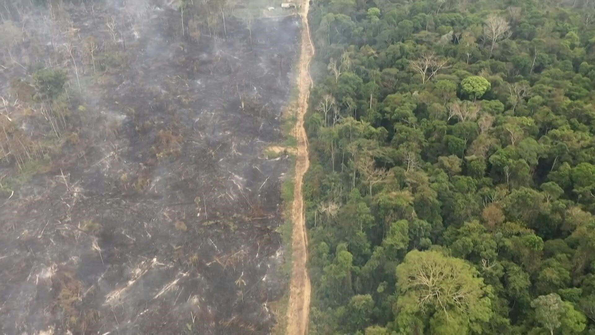 Deforestation in the Brazilian Amazon reached a new record for the month of April, with more than 1,000 square kilometers, the equivalent of 140,000 football fields, cut down, according to satellite data released Friday.