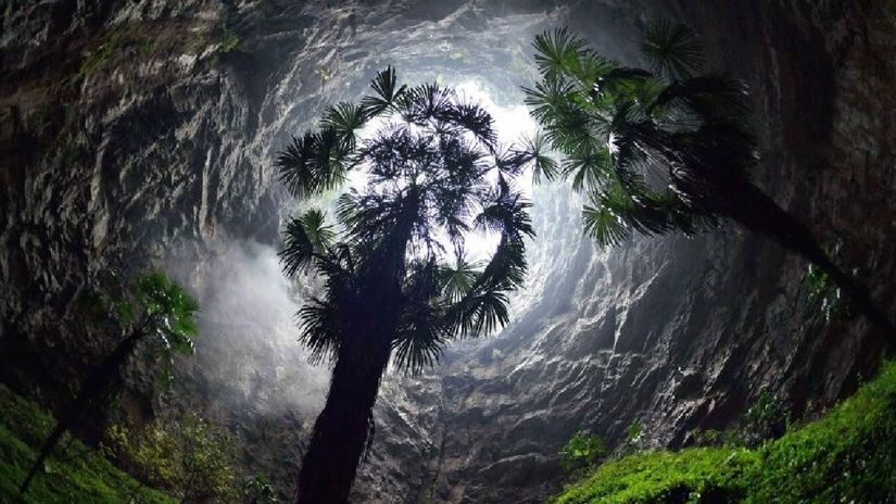 Chinese scientists discover a hole inside a mysterious forest