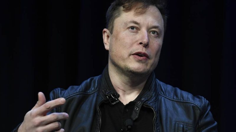This is what Elon Musk wants to do with the DNA of all humanity