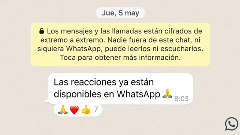 WhatsApp has a new update: reactions with emojis and files shared up to 2GB