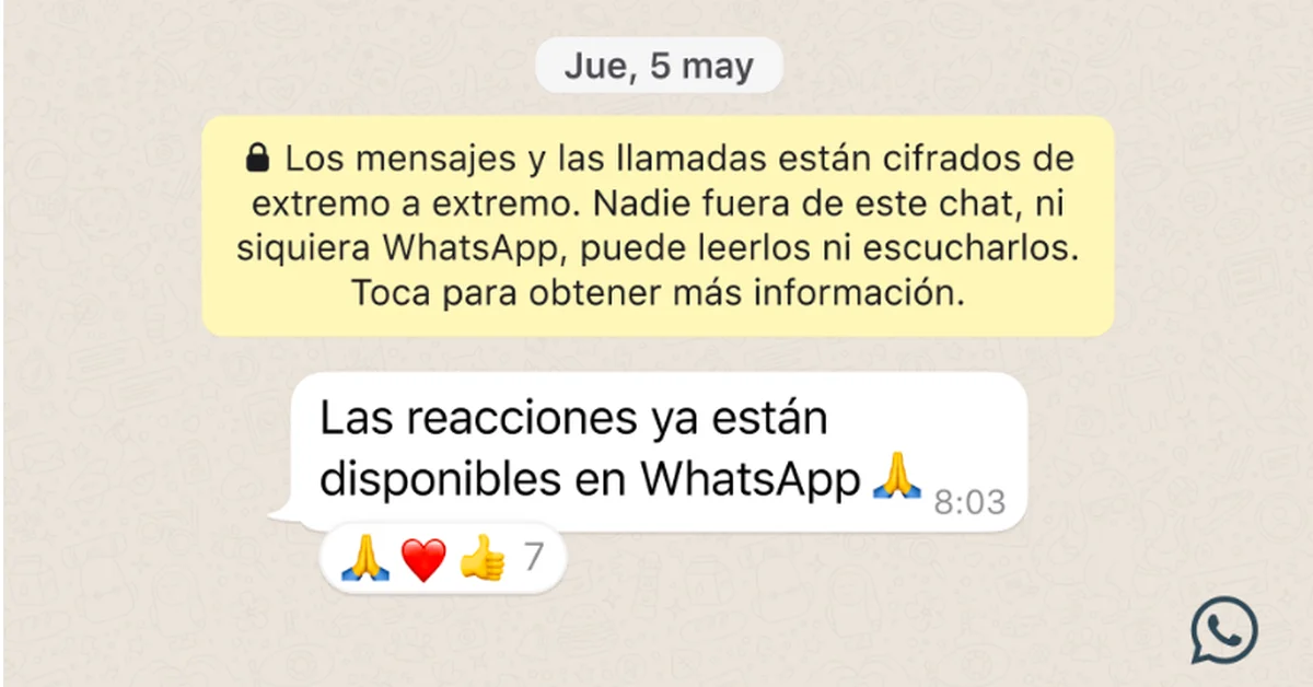 WhatsApp has a new update: reactions with emojis and files shared up to 2GB