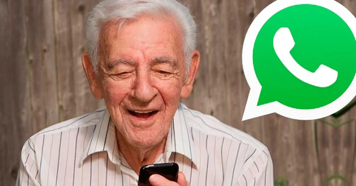 This is how WhatsApp for seniors can be configured