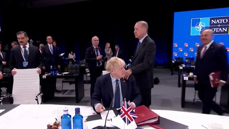Erdogan’s unexpected physical salute that stunned Boris Johnson at NATO summit
