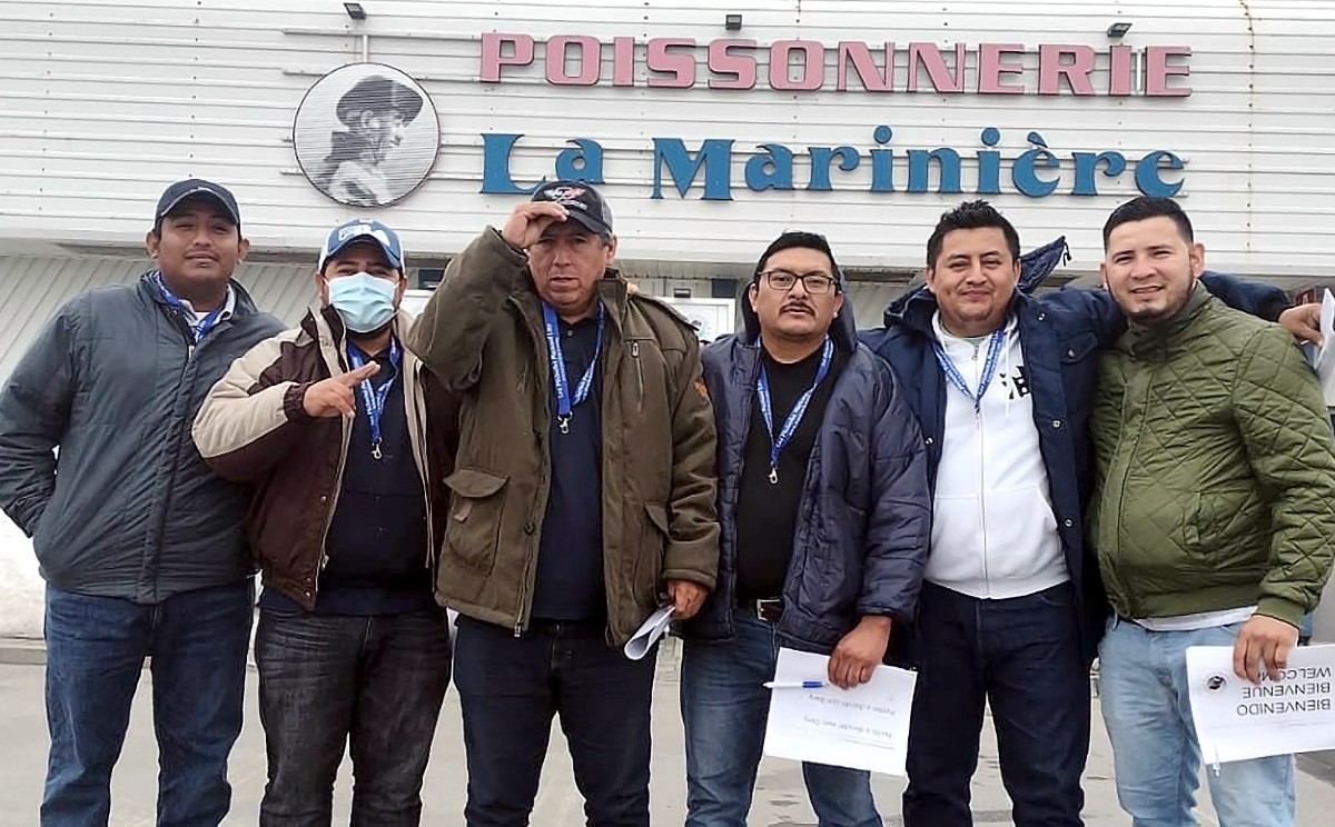 Canada Seafood Company Employs 27 Tamaulipas Workers
