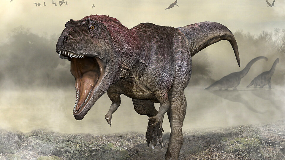 Merax: Introduced a new giant carnivorous dinosaur found in Argentina |  It is named after a dragon from Game of Thrones