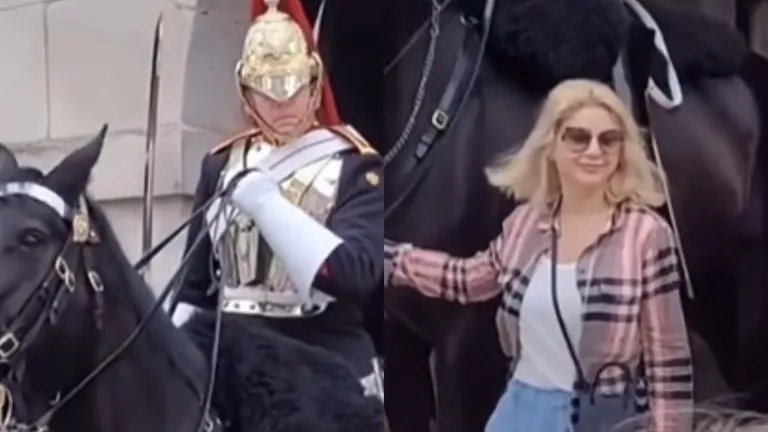 She went to shepherd the royal guard horse and was horrified by the soldier’s reaction.