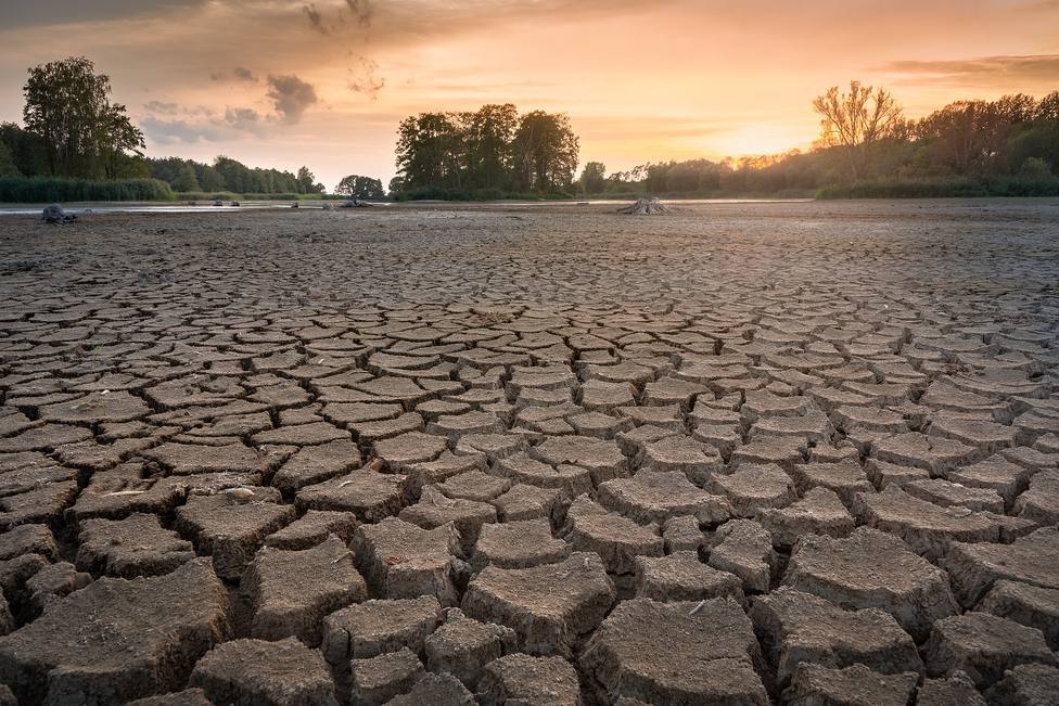 UK asks its citizens to reduce water consumption in the face of dry weather – International