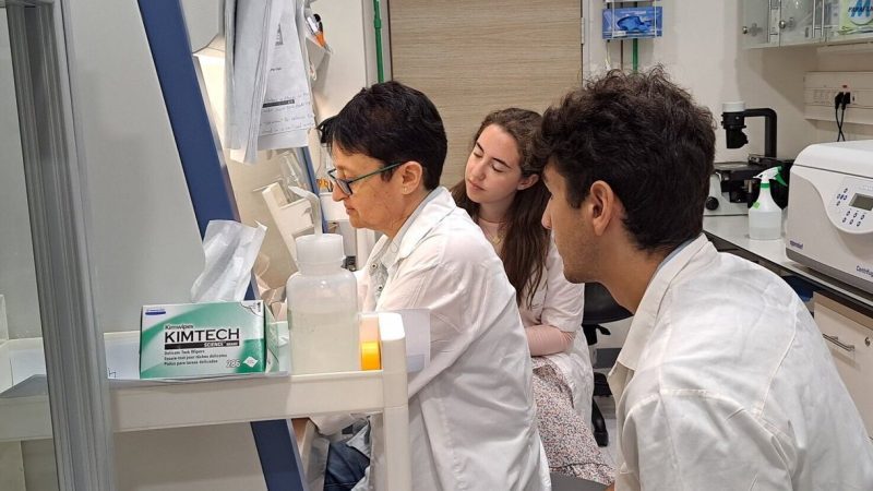 Doctors criticize the government for closing American medical schools in Israel