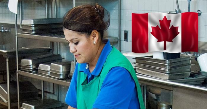 Find Mexican workers to work in Canada for $75,000