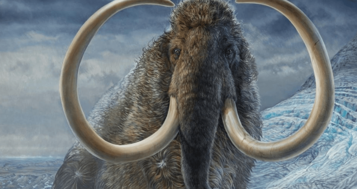 Scientists revive mammoth cells and talk in a study about a possible “resurrection” of extinct species
