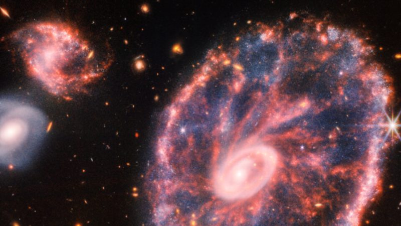 The shocking image revealed by the James Webb Telescope |  ‘Chaos’ in the Cartwell Wheel Galaxy
