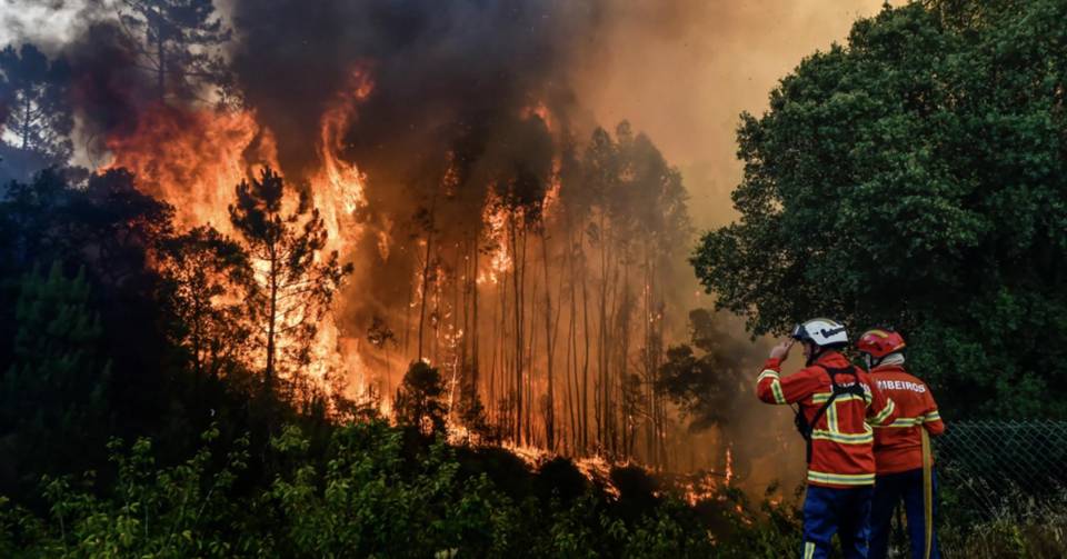Wildfires worldwide have doubled in 20 years