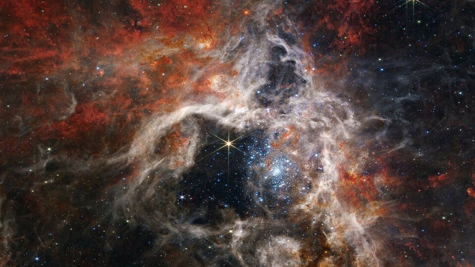 A star is born in the Tarantula Nebula |  The James Webb Telescope shows a stellar nursery in detail
