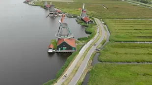 The Netherlands is famous for its windmills, but not because its residents are used to saying that "I am sorry"