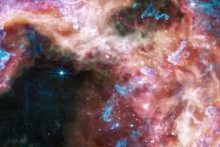 A near-infrared webcam (NIRCam) image shows the star-forming region of the Tarantula Nebula in new light