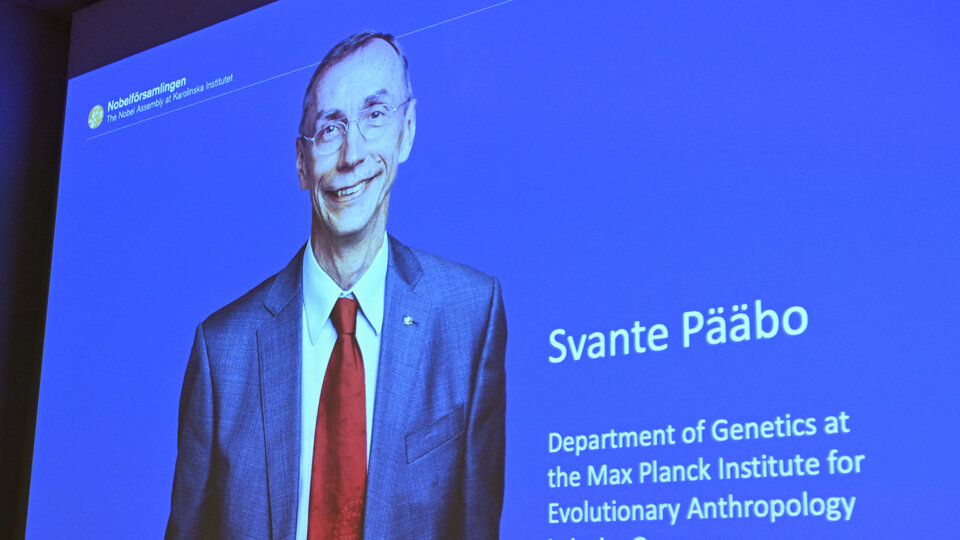 The Nobel Prize in Medicine goes to Swedish biologist Svante Pääbo |  The Nobel Committee said, “He has achieved something that seems impossible.”