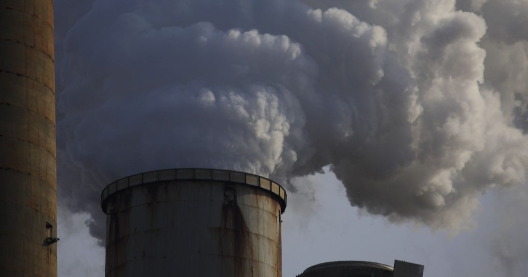 Warn UK voluntary carbon markets need supervision