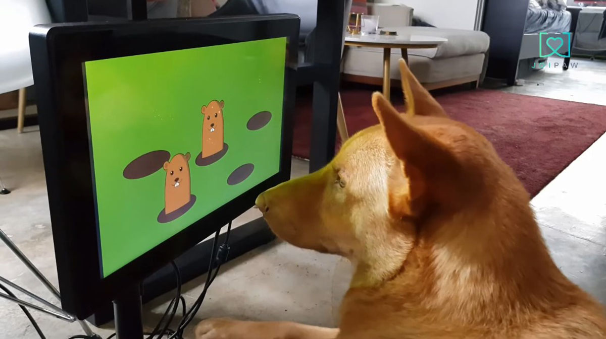 The company makes video games for dogs, although not everyone will be able to play them