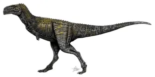 Spectrovenator, the closest abelisaurid from Brazil in time