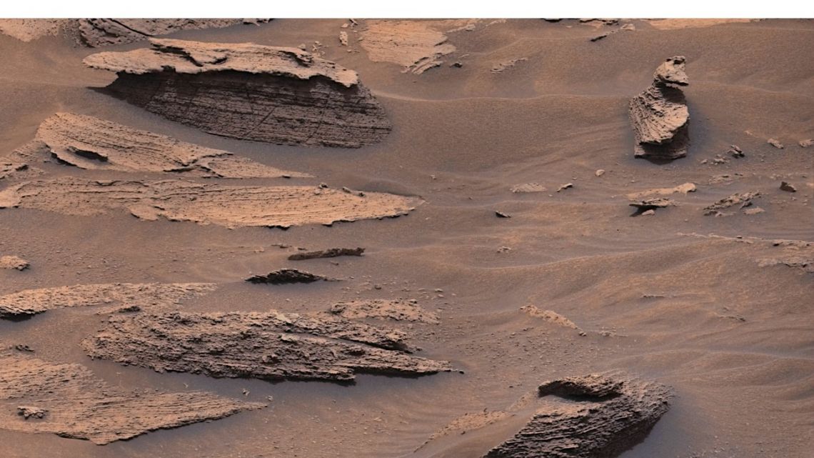 NASA’s Curiosity rover discovered a “duck” on Mars