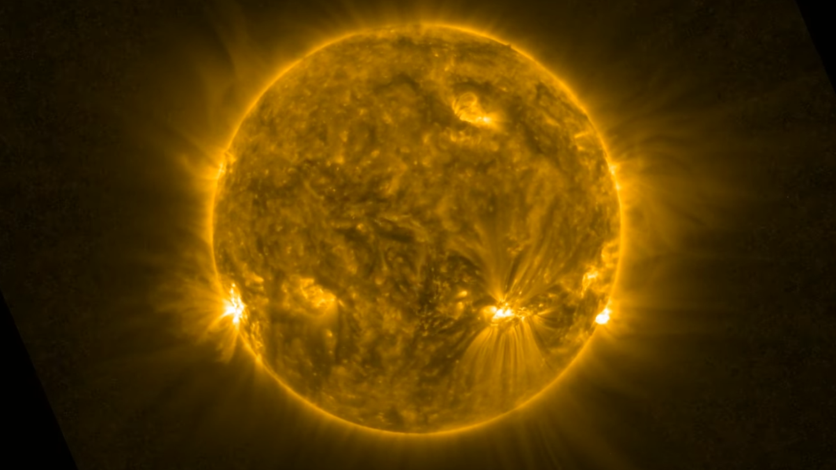 A new phenomenon baptized as a solar serpent seen on the sun