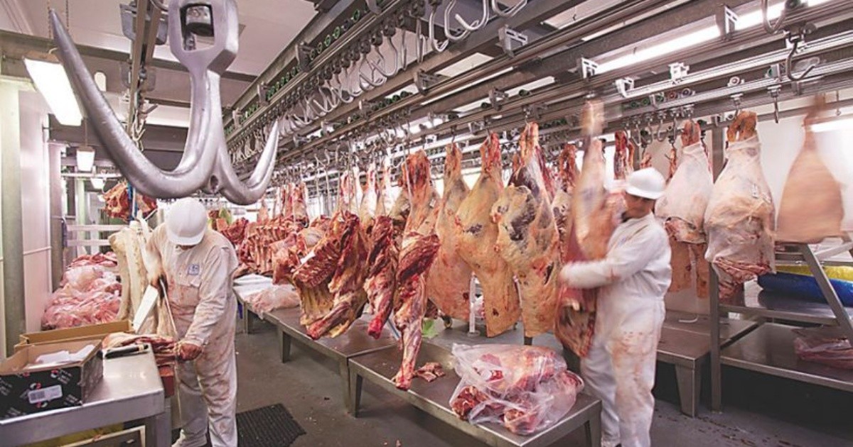 Mexico will import Argentine meat |  BAE Business